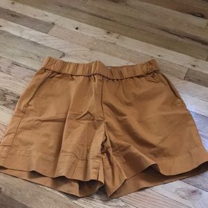 Everlane Easy Short